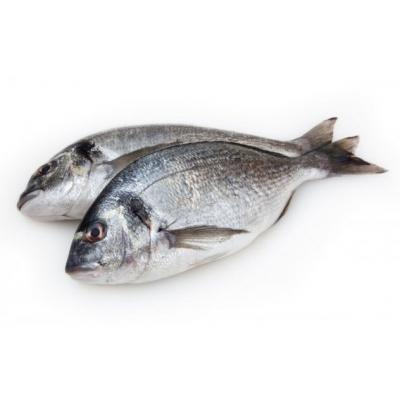 Dorada 600-800g E/K